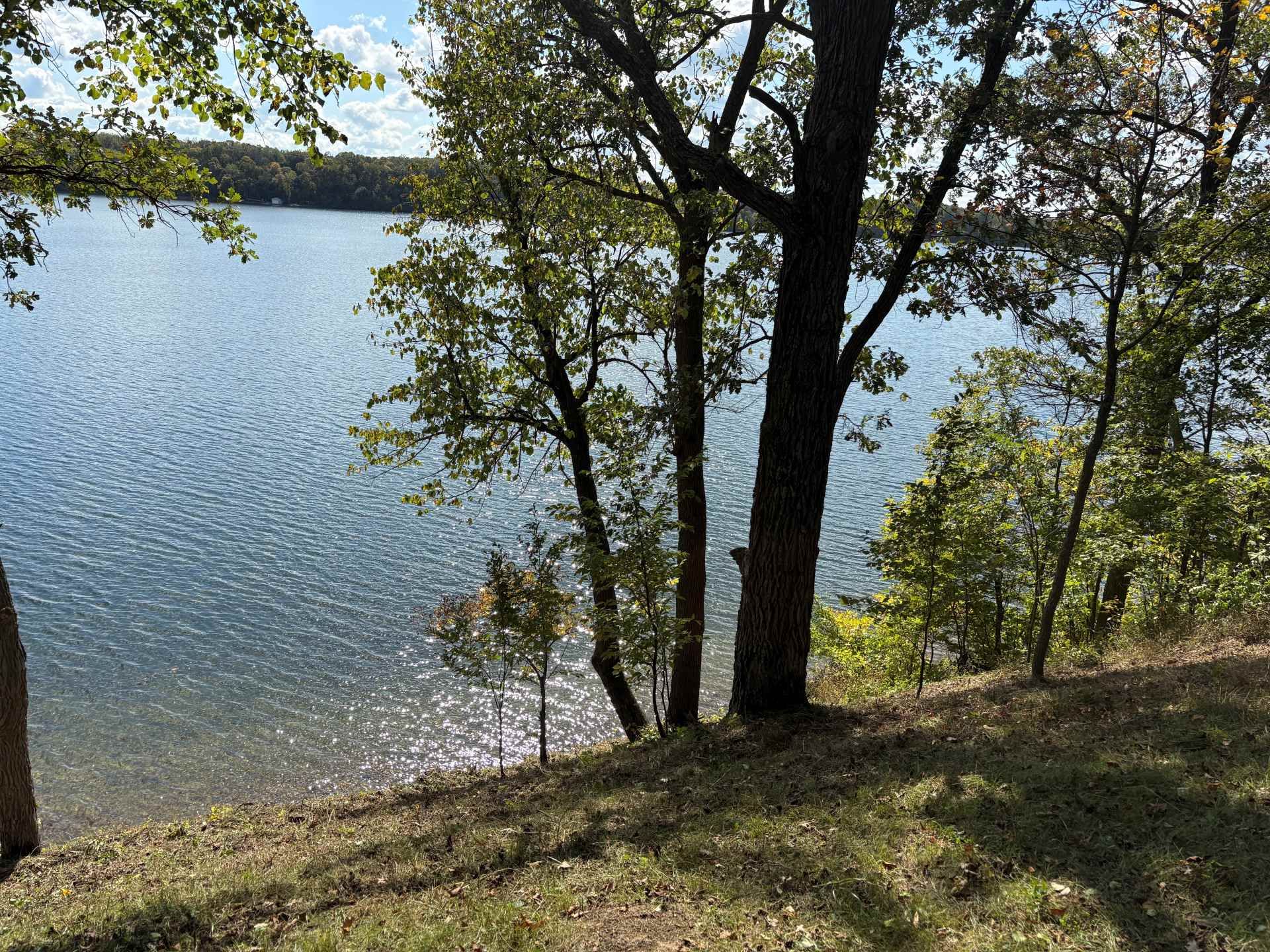 A view of a blue lake from a grassy, tree-lined bank under a clear, sunny sky.