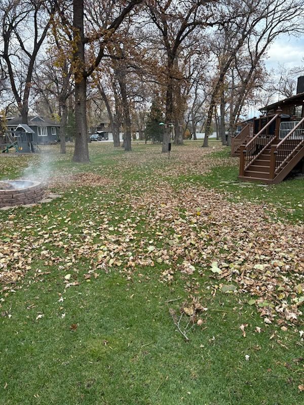 A backyard with a fire pit releasing smoke, surrounded by numerous fallen leaves on grass under tall, bare trees.