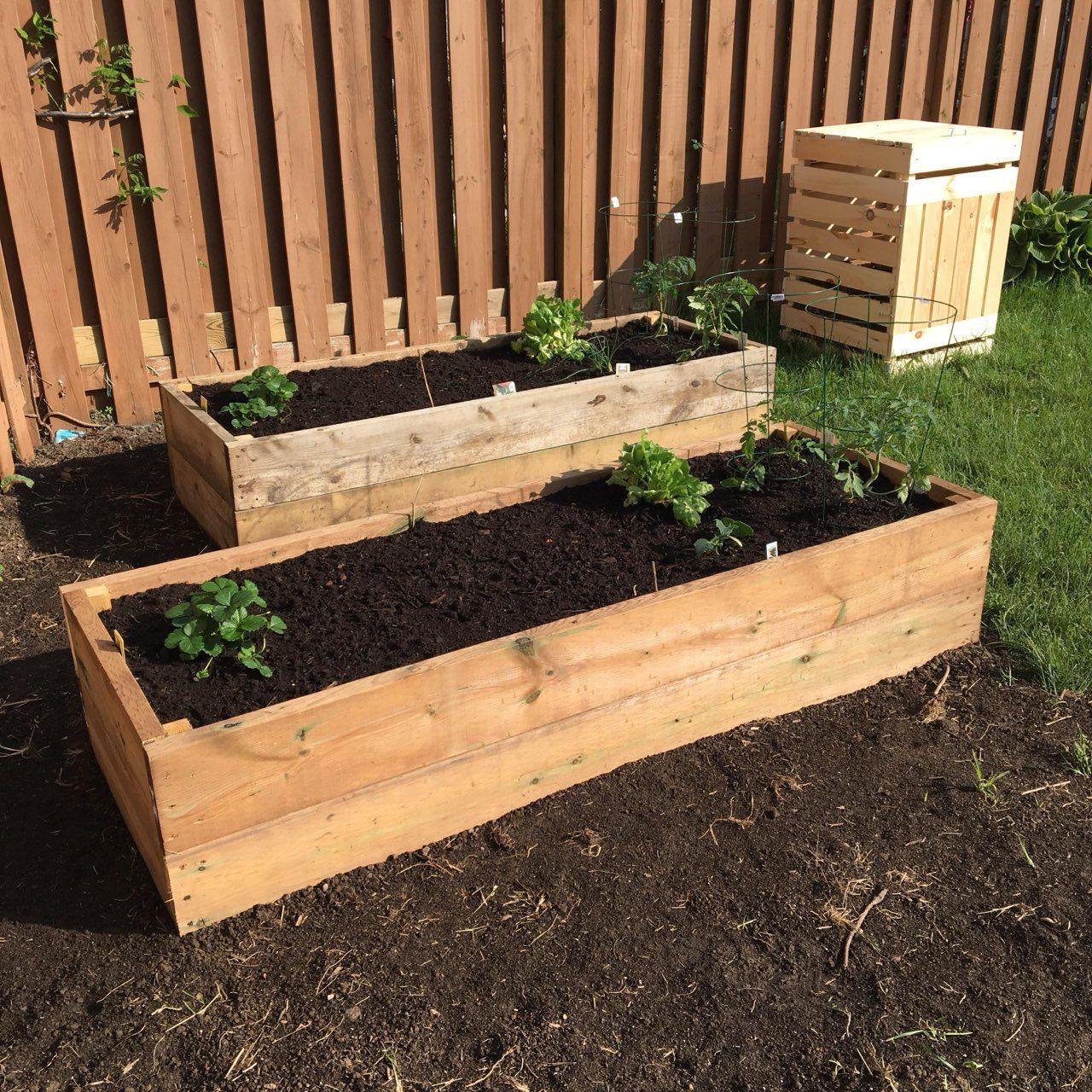 Two stacked wooden raised garden beds filled with dark soil and small green plants against a wooden fence.