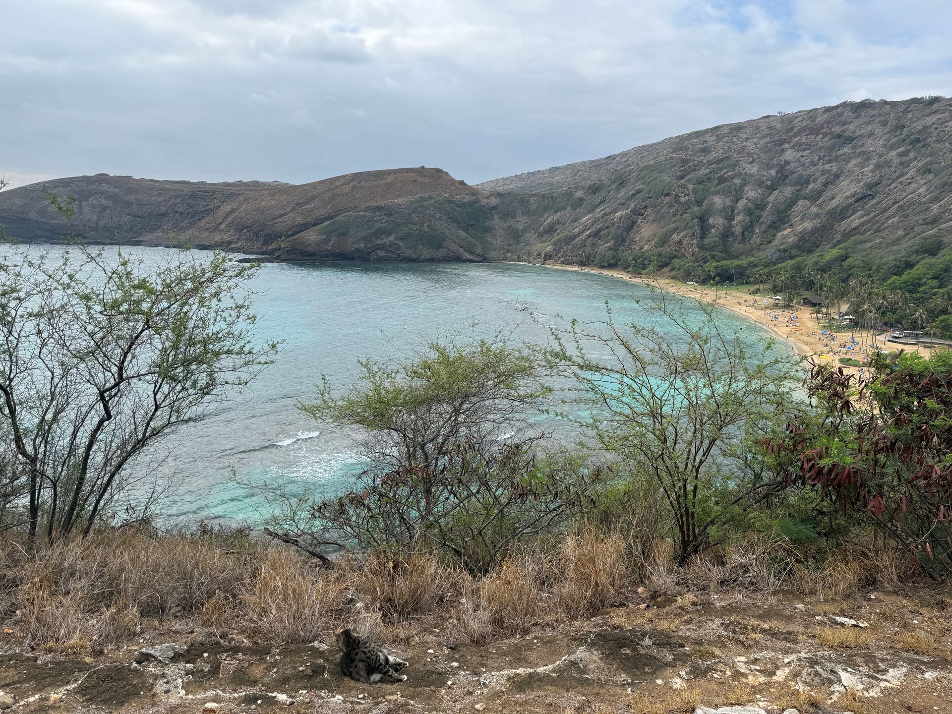 Looking down on a rugged beach