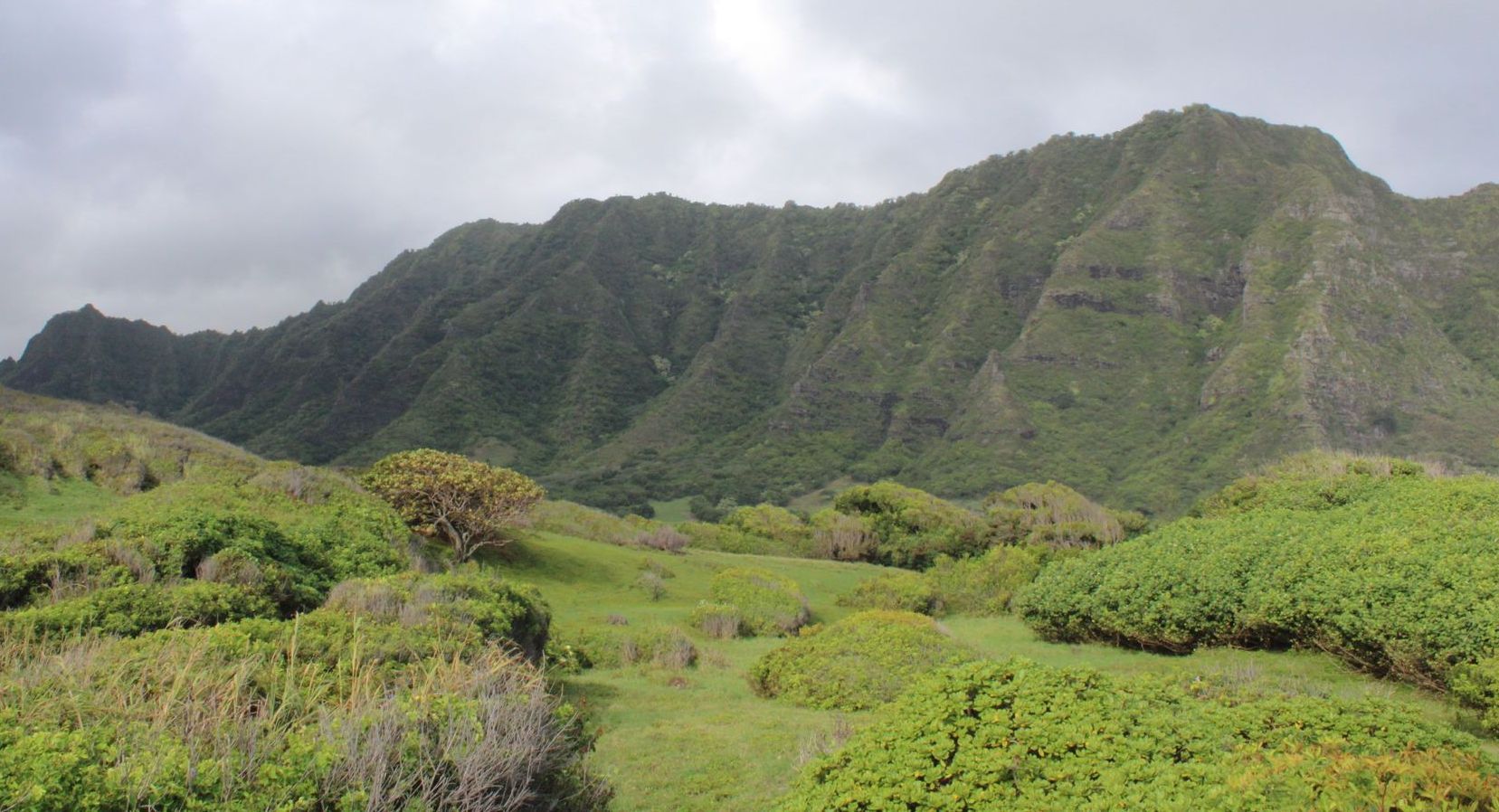 A green, stunning mountain