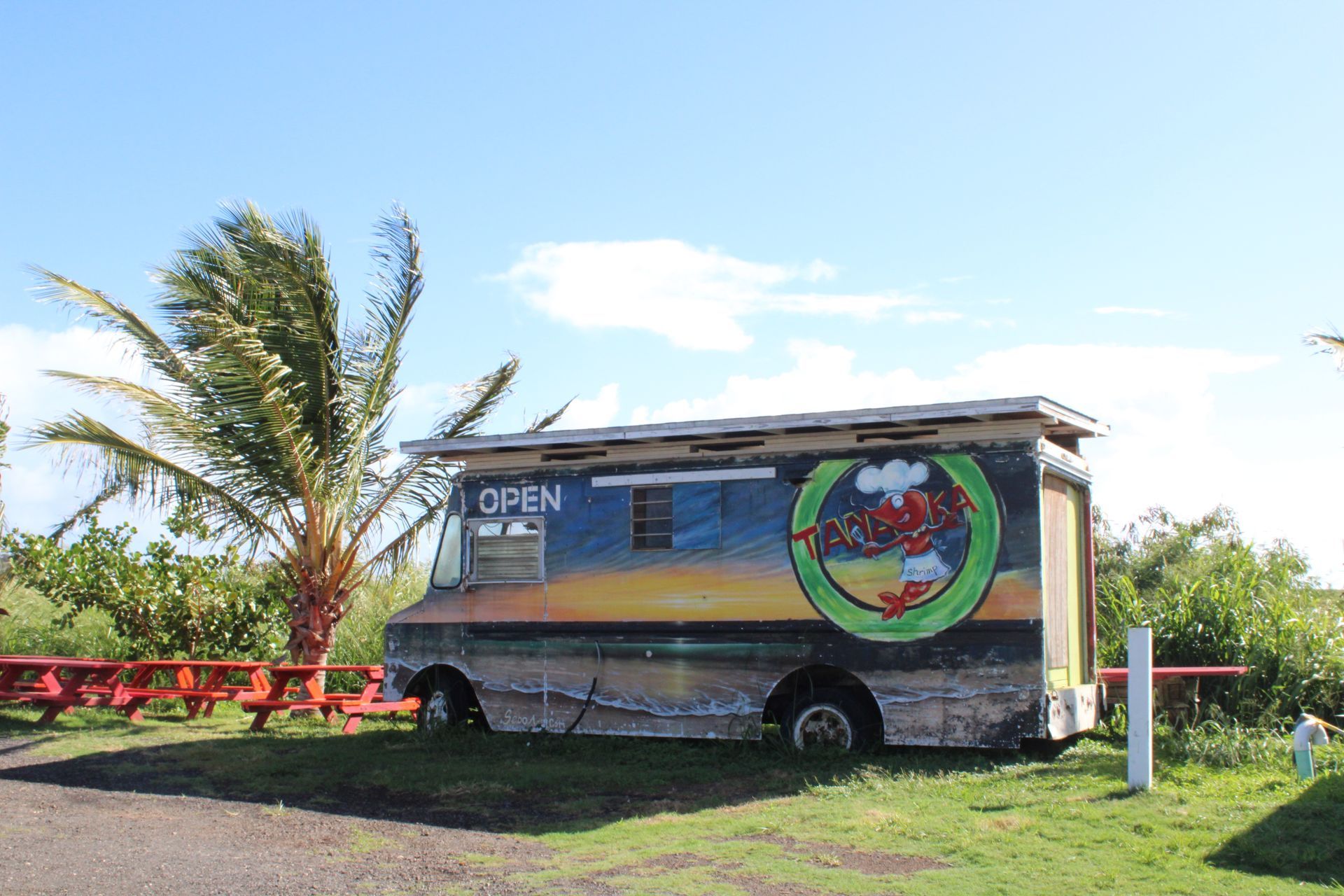 A food truck is parked in a grassy area with a palm tree in the background.