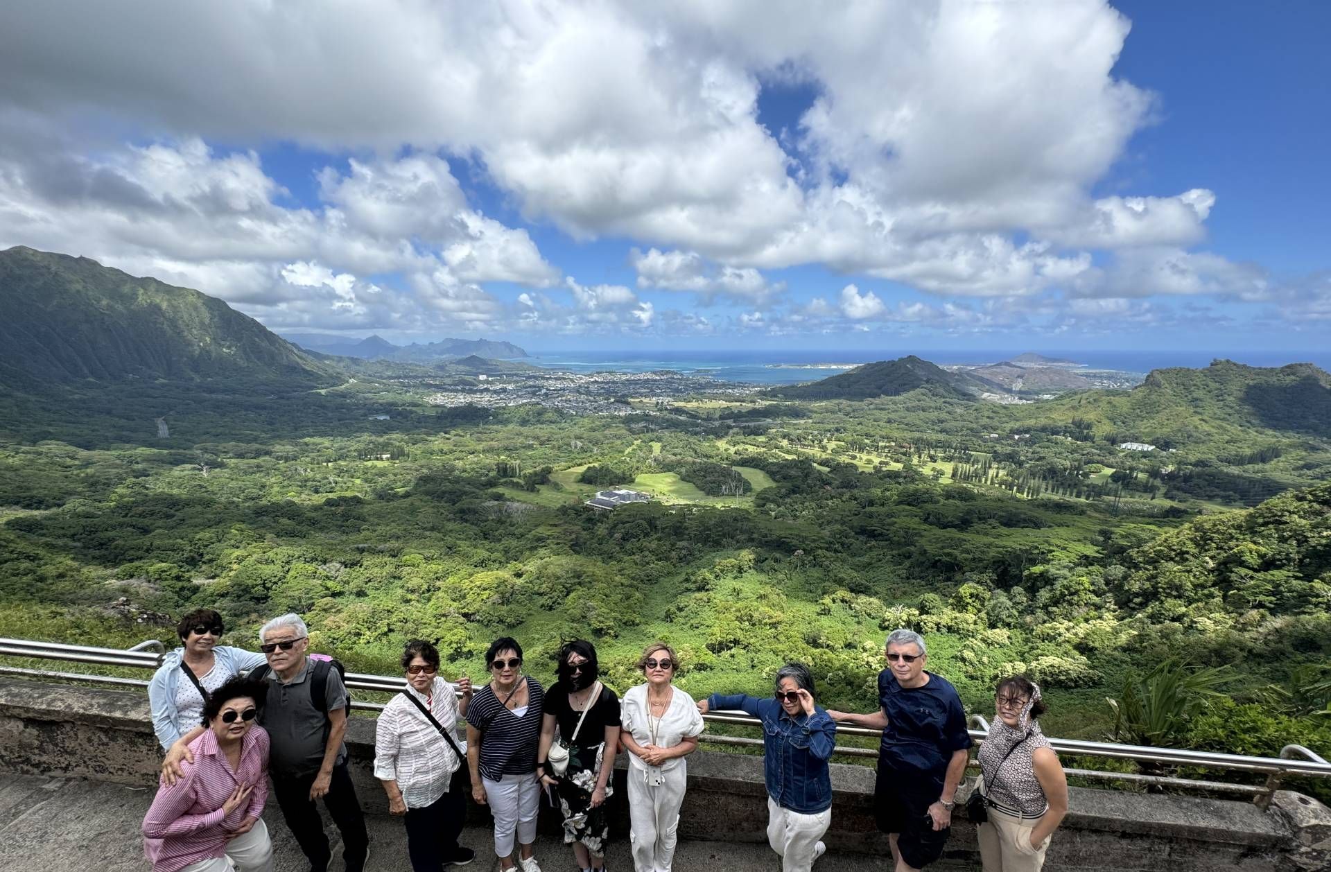 A group poses by a lookout over a lush view