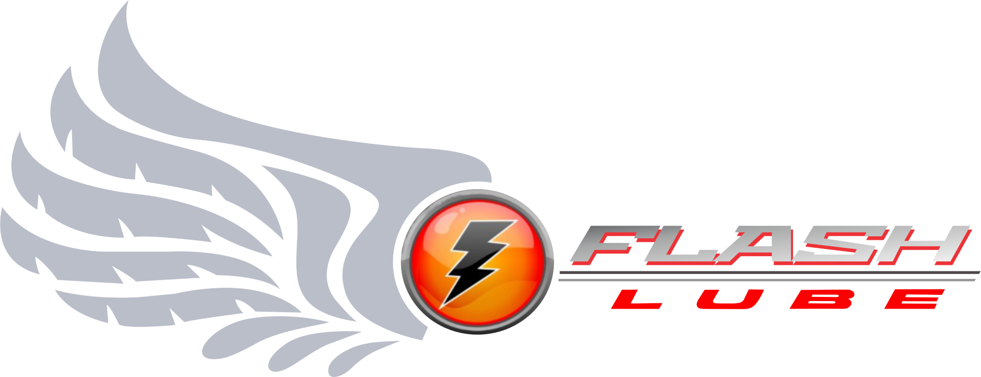 Logo with a lightning bolt inside an orange circle and the word FLASH.