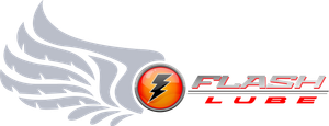 Logo with a lightning bolt inside an orange circle and the word FLASH.