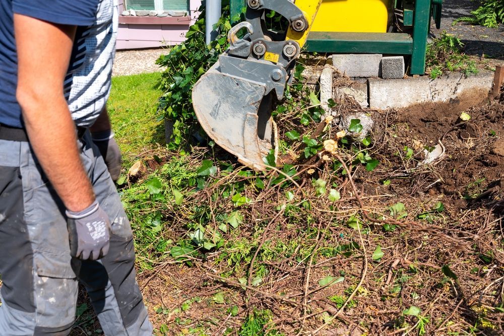 Man Operating Excavator Clearing Weeds and Debris From a Garden Bed — Dachboe Your Handyman In Townsville, QLD