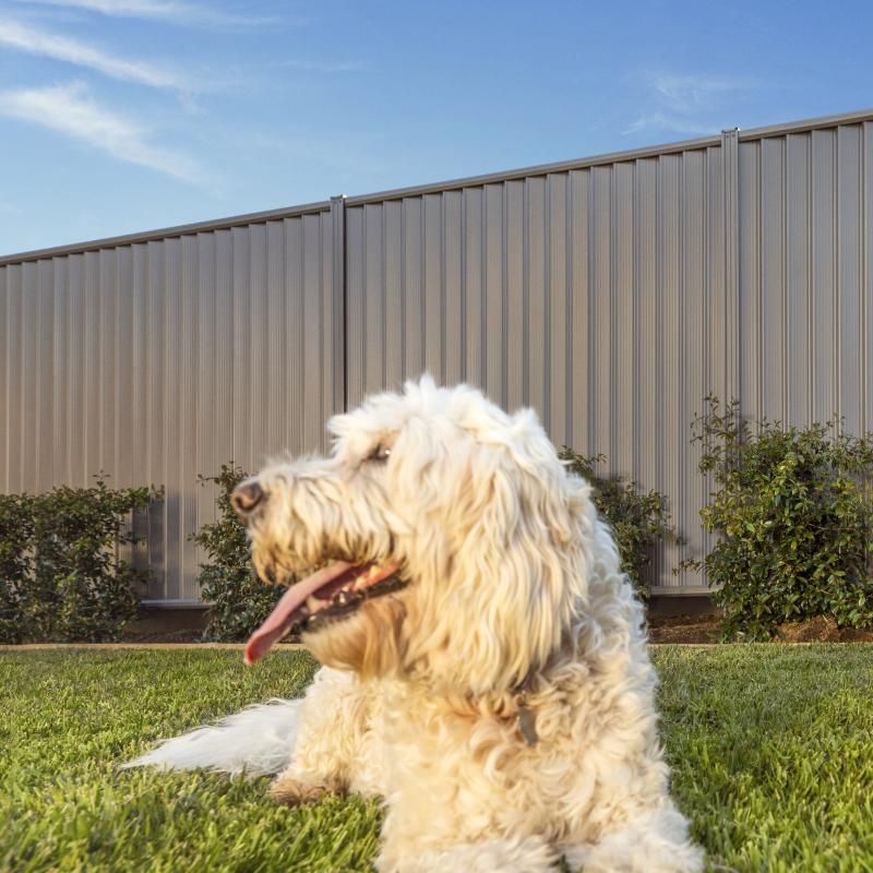 Gray Corrugated Metal Fence and Gate on Gravel — Dachboe Your Handyman In Townsville, QLD