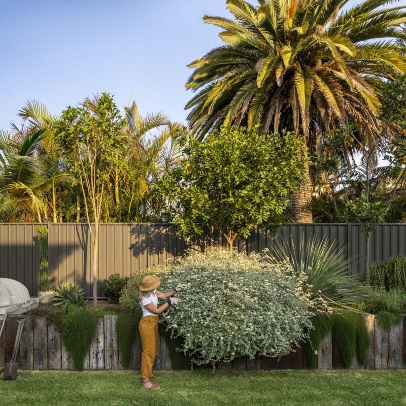 Red Corrugated Metal Fence With Brick Columns — Dachboe Your Handyman In Townsville, QLD