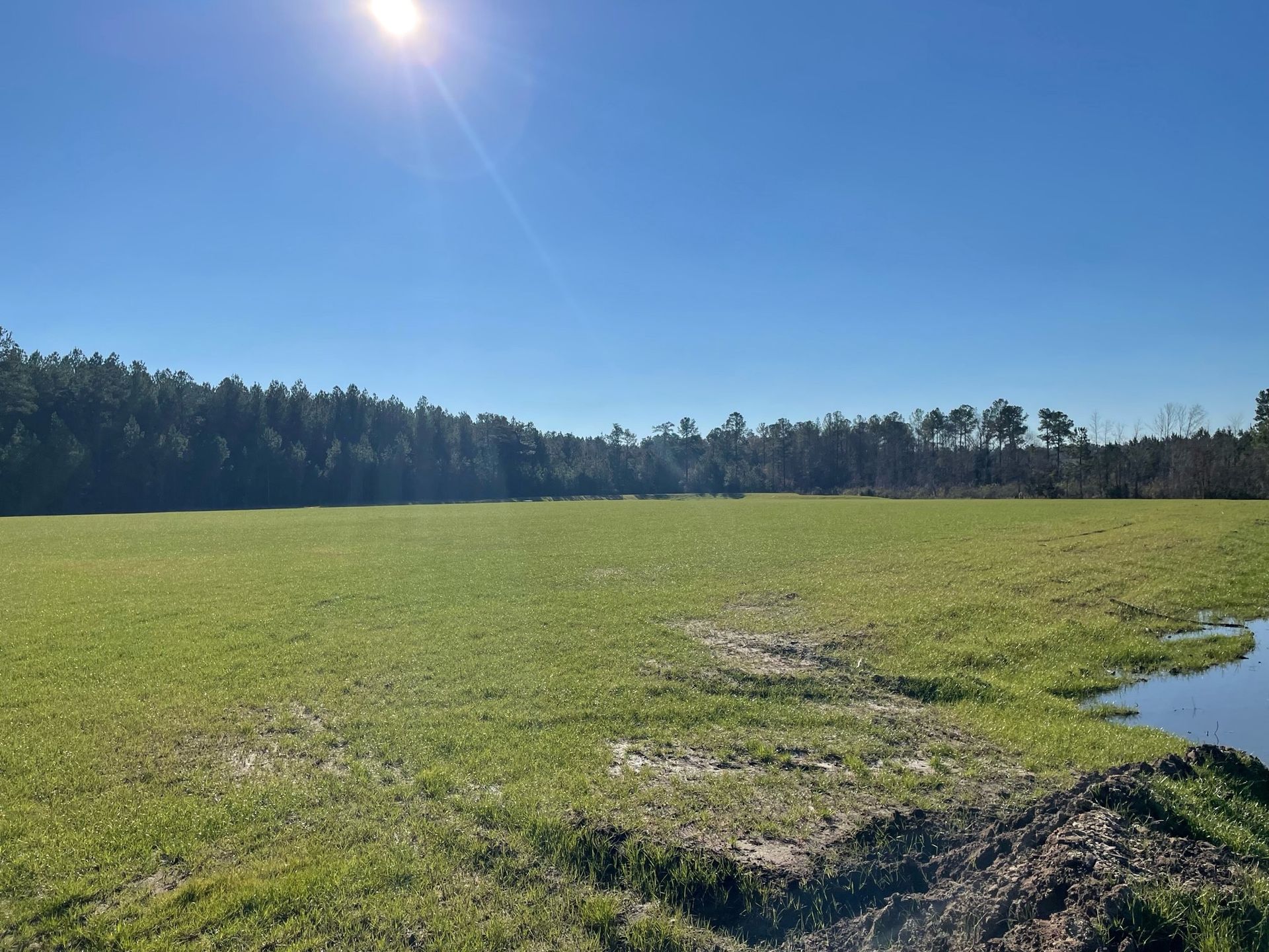 Dorchester County Announces Completion of PadReady Industrial Site