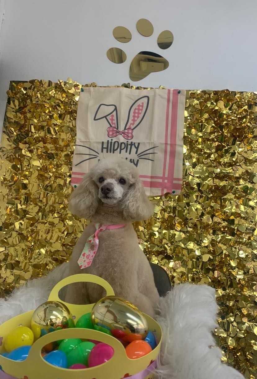 A poodle is sitting next to a basket of easter eggs.