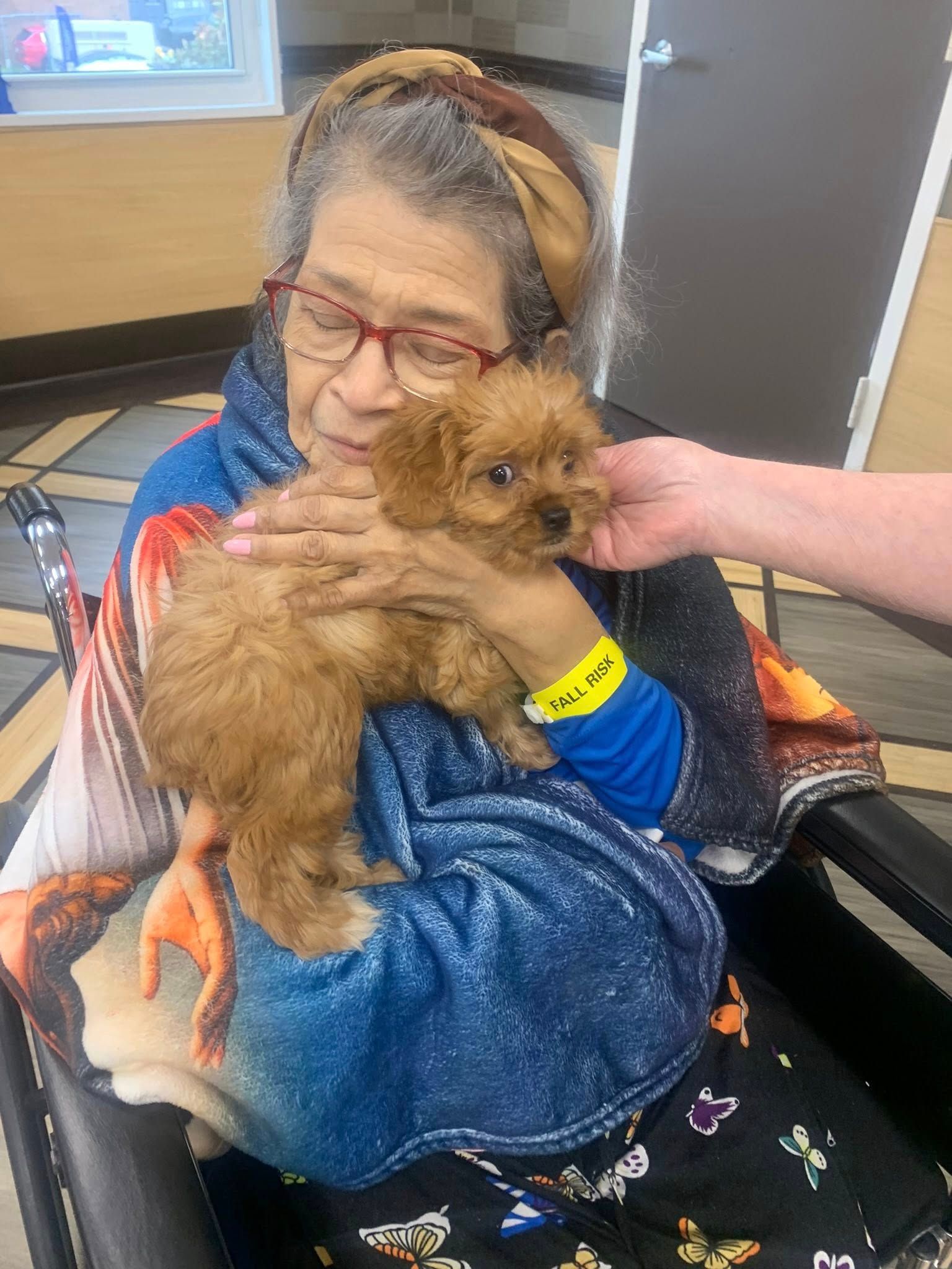 A woman in a wheelchair is holding a small dog.