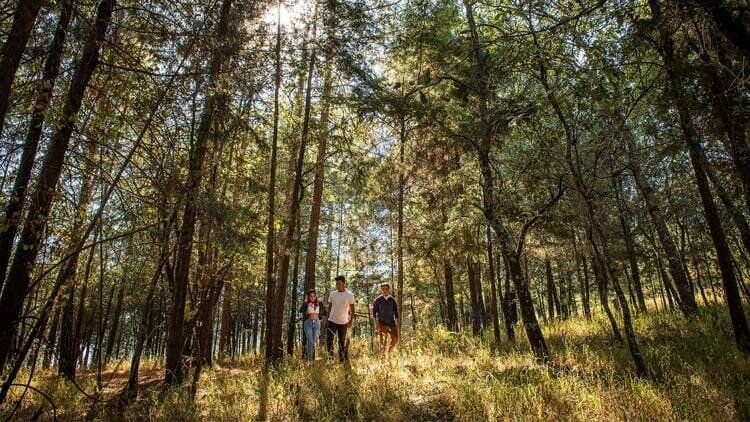 CLÍNICA REHABILITACIÓN ZITLALTEPEC