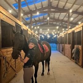 jones-valley-farms-horse