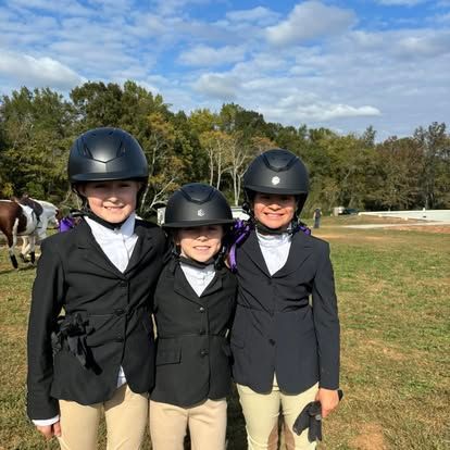 jones-valley-farms-horse