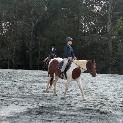 Jones Family Farms logo