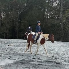 Jones Family Farms logo