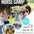 jones-valley-farms-summer-horse camp