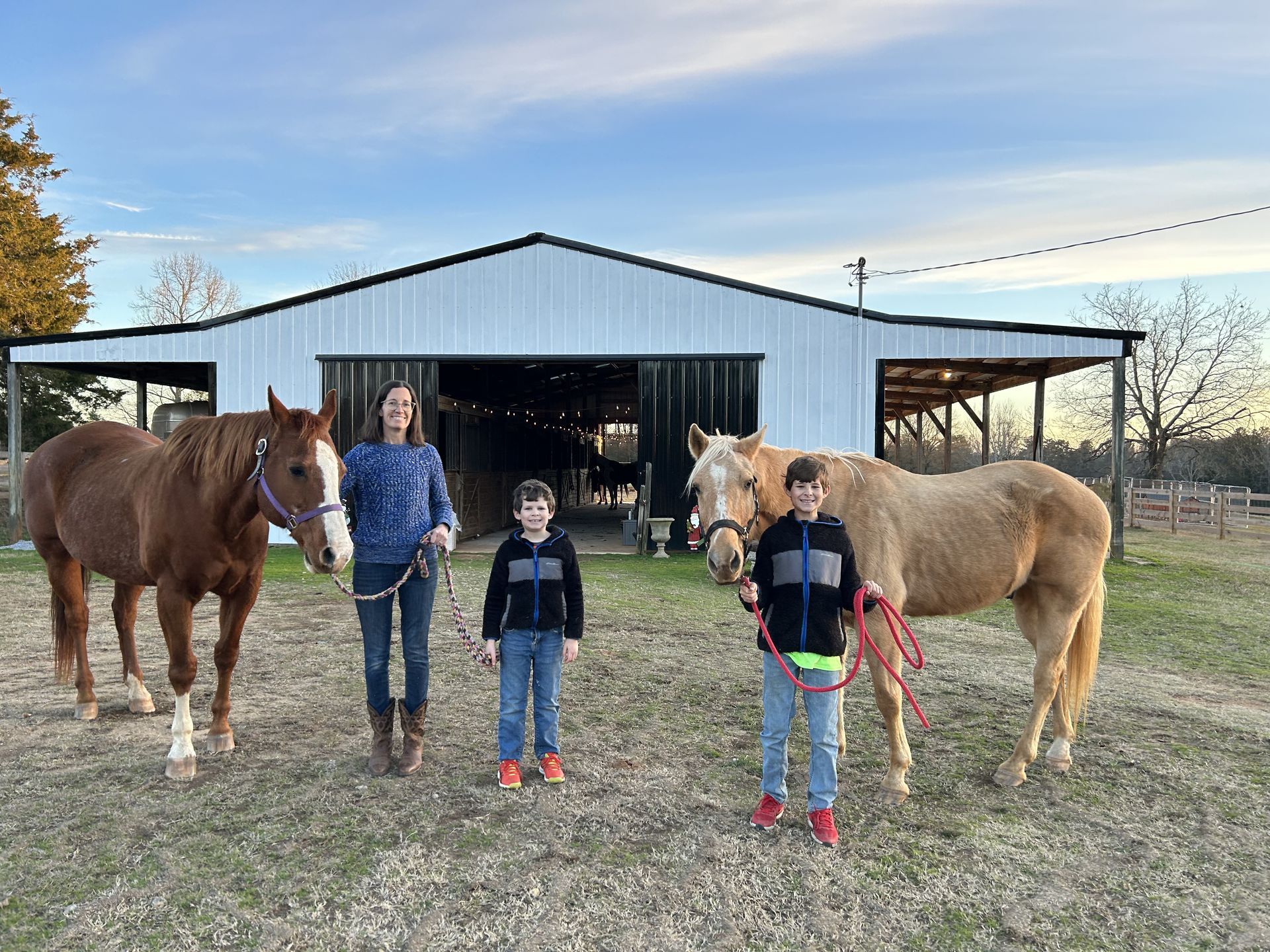 jones-valley-farms-horse