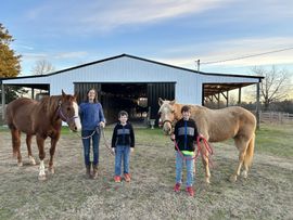 jones-valley-farms-horse