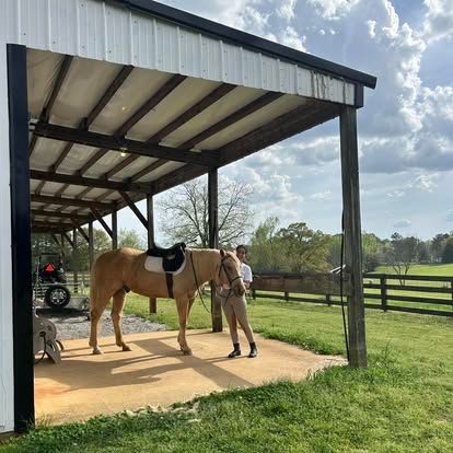 jones-valley-farms-horse