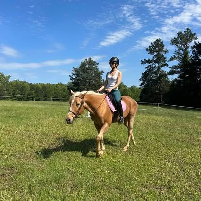 jones-valley-farms-horse