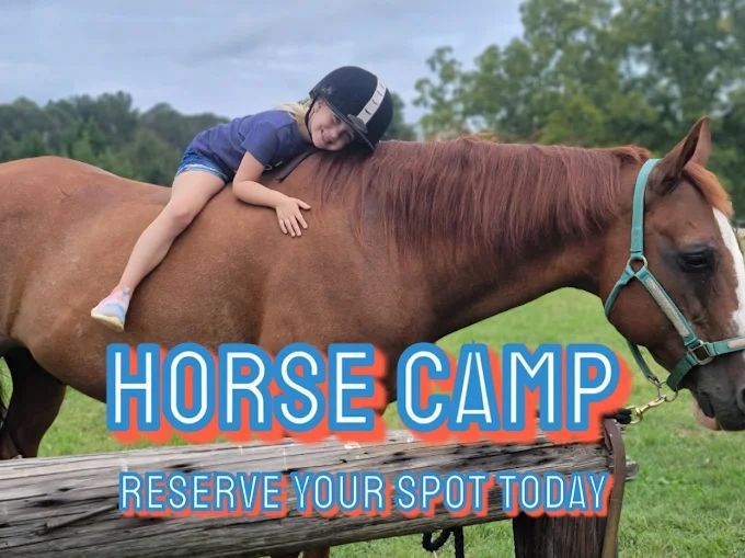 jones-valley-farms-horse