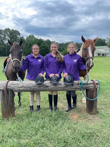 jones-valley-farms-horse