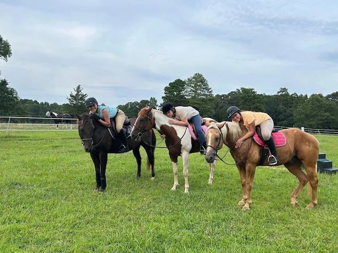 jones-valley-farms-horse