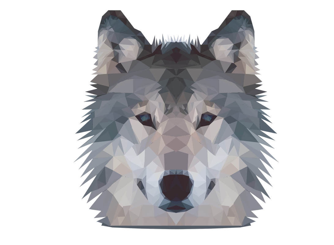 A low poly drawing of a wolf 's face on a white background