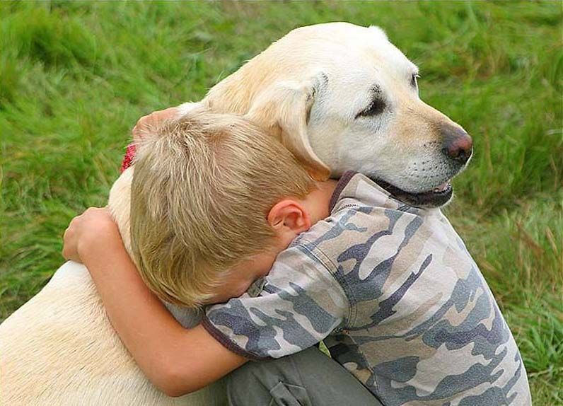 rapporto cani e bambini