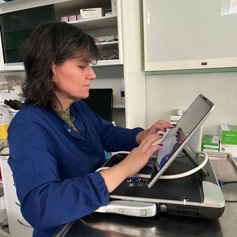 dr.ssa elsa buratti