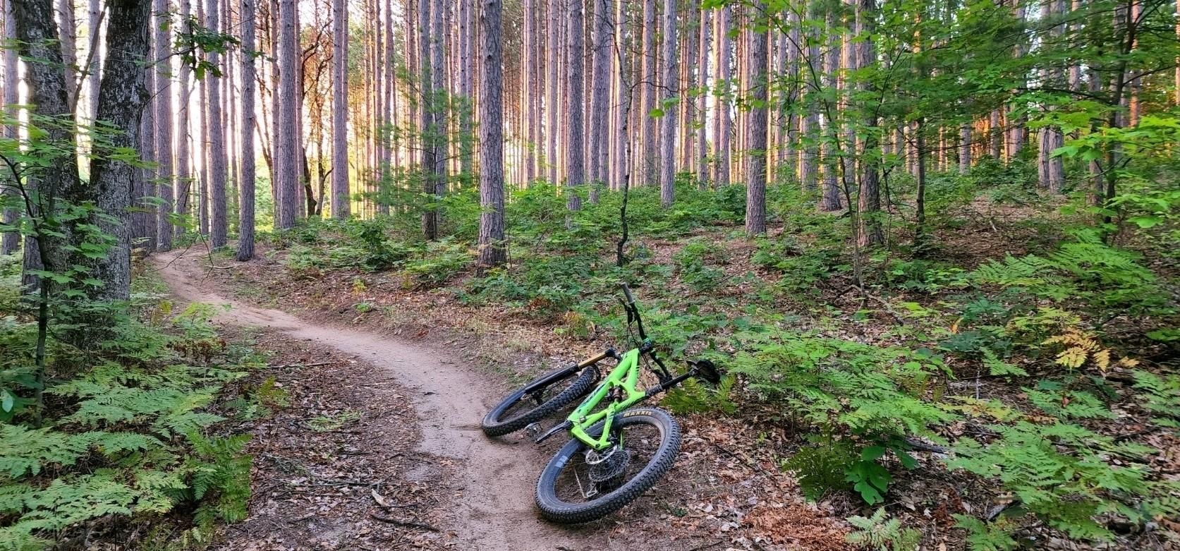 mountain biking