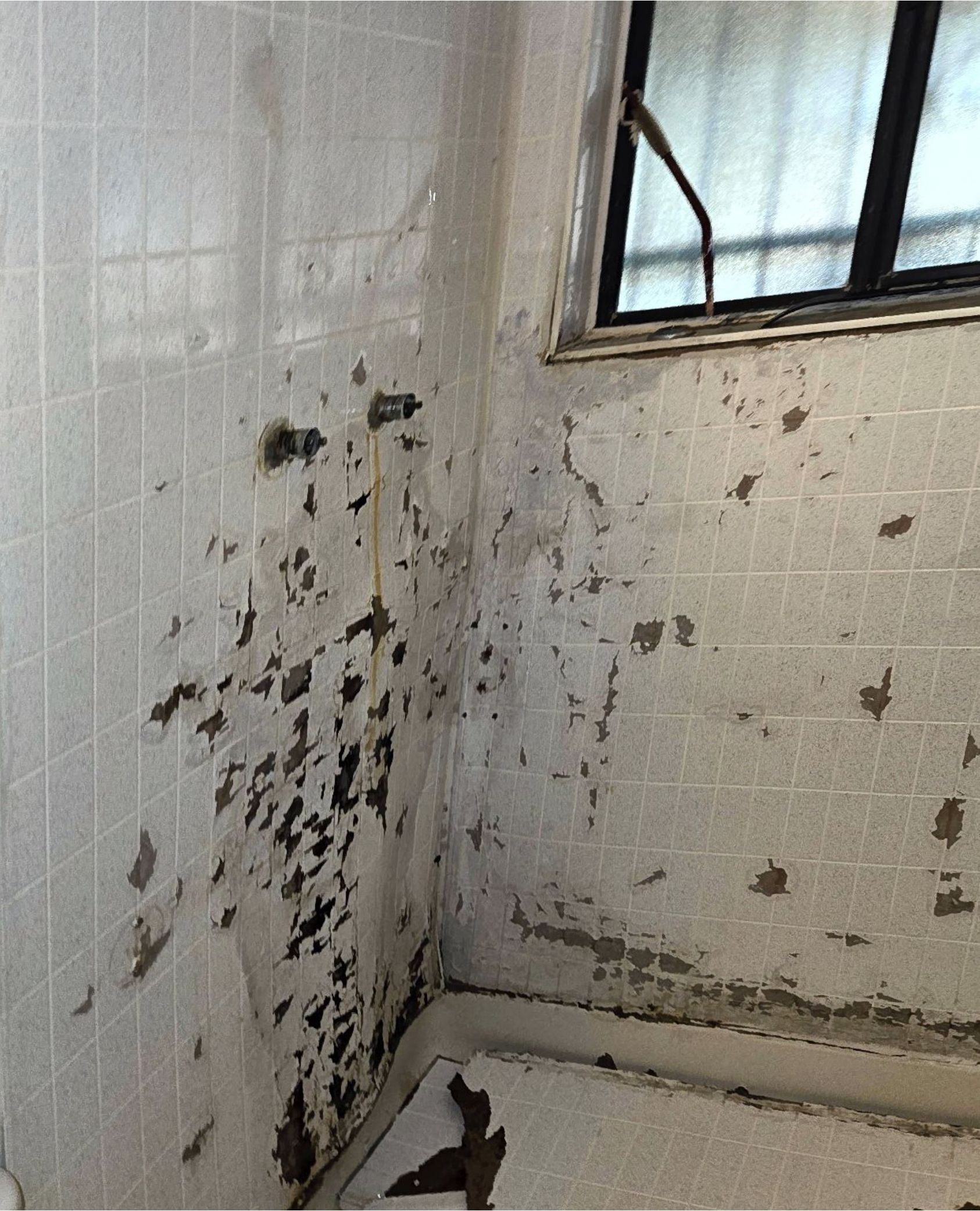 Damaged bathroom corner with peeling paint on tiled walls near a window.