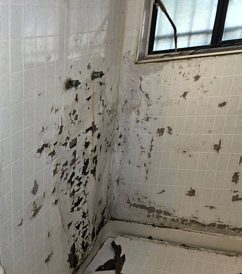Bathroom with water damage; peeling paint on tiled walls, near a window.