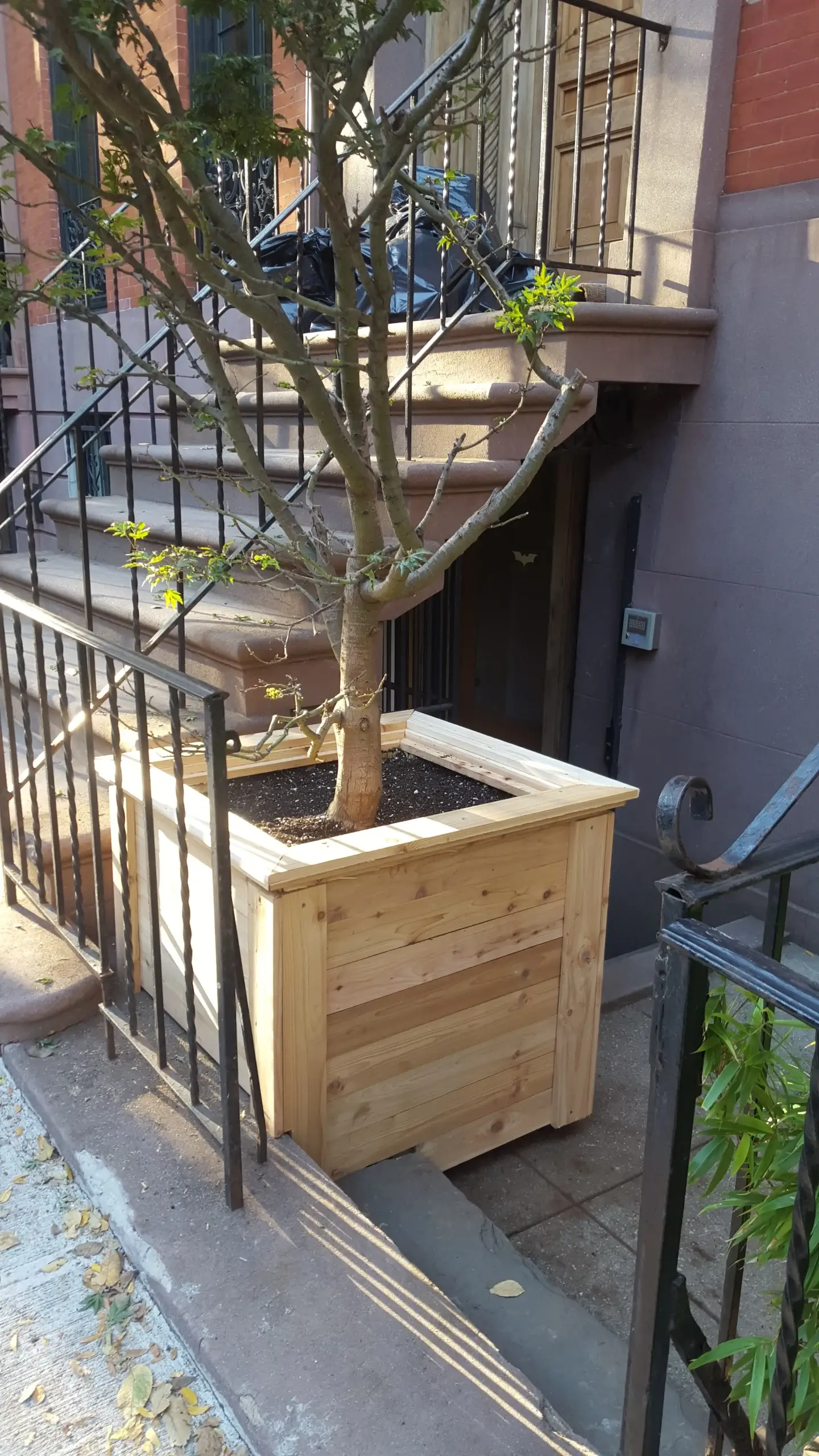 A large wooden planter with a tree in it is on a sidewalk next to stairs.