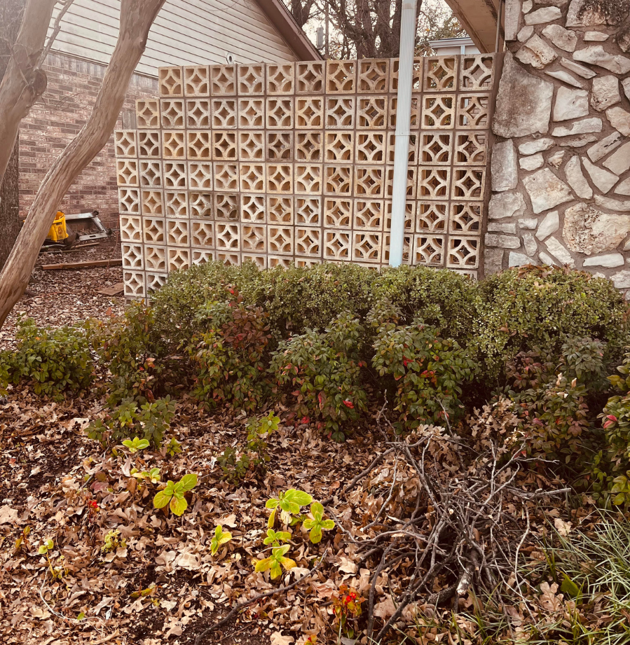 A brick wall is surrounded by bushes and leaves