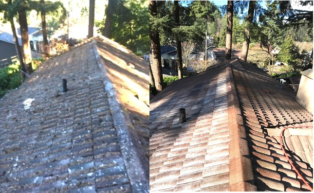 Moss Removal - Roof Maintenance in Auburn, WA