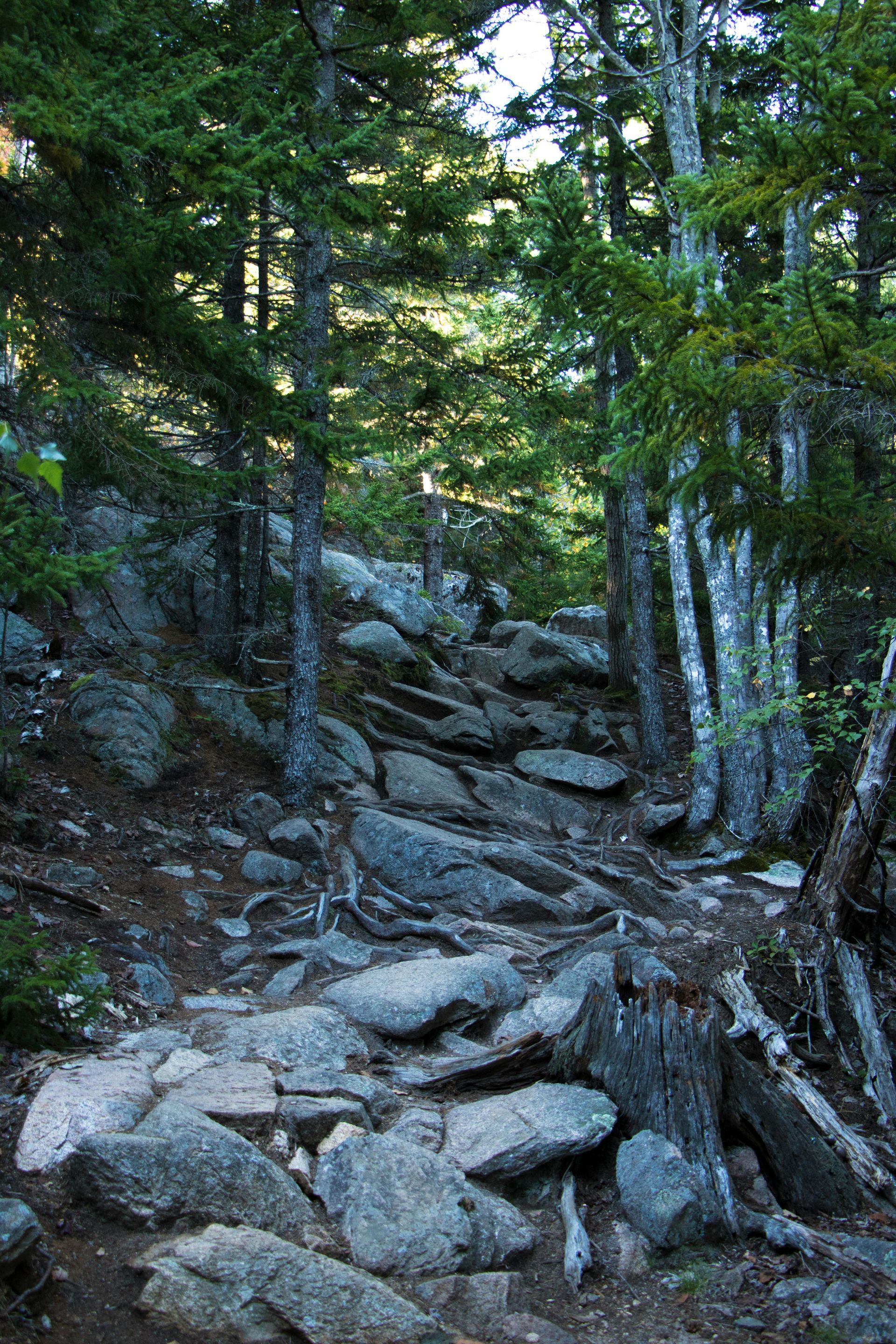 A sunset over a mountain range with a lot of fog