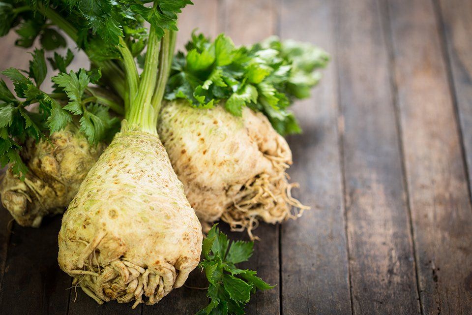 ユニークな素材の代表例画像