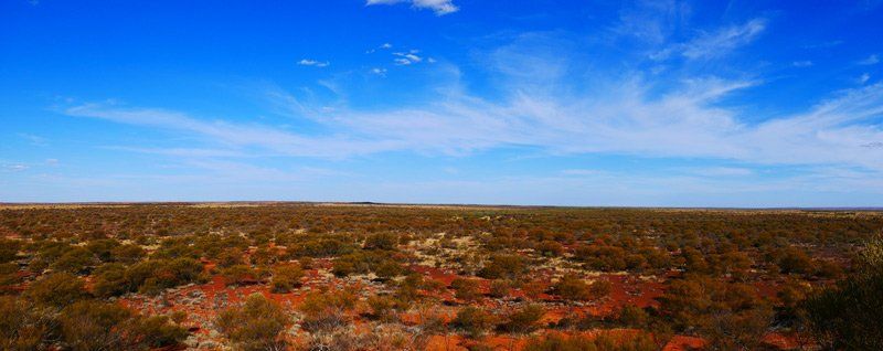 large flat land full of dry bushes