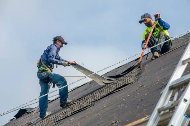 Roofing Contractor
