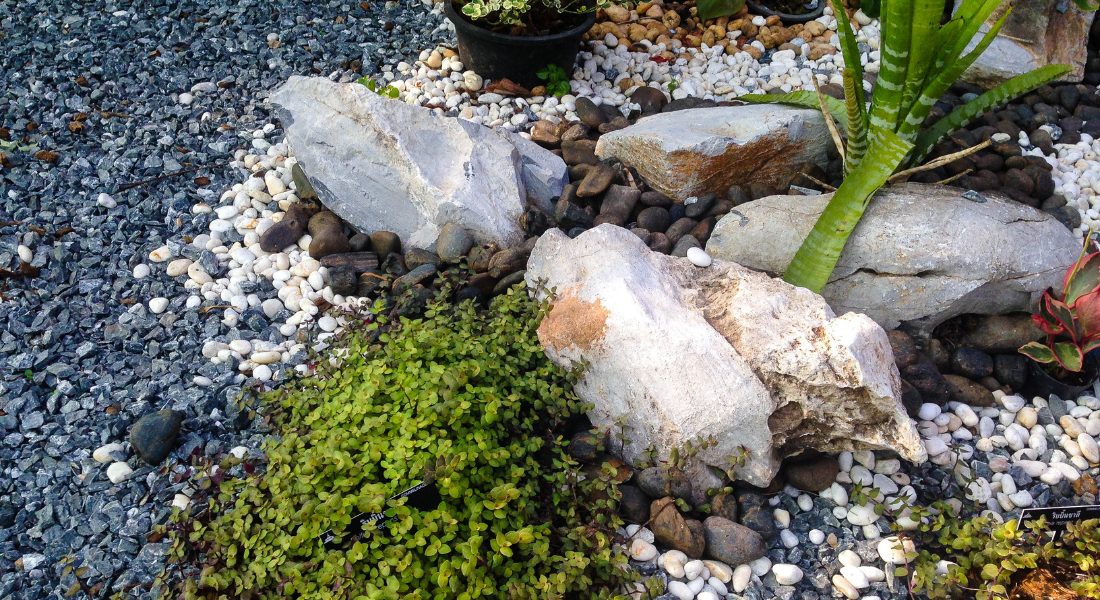 Different types of rocks 