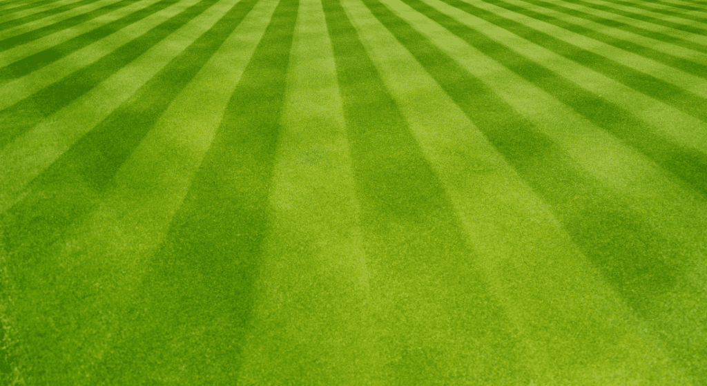 A close up of a lush green lawn with striped grass.