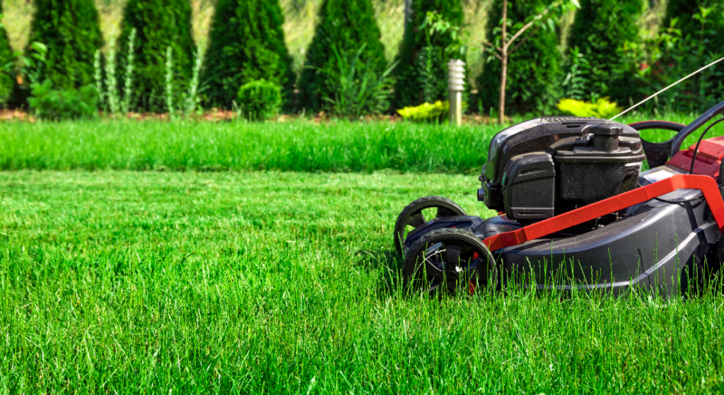 A lawn mower is cutting a lush green lawn.