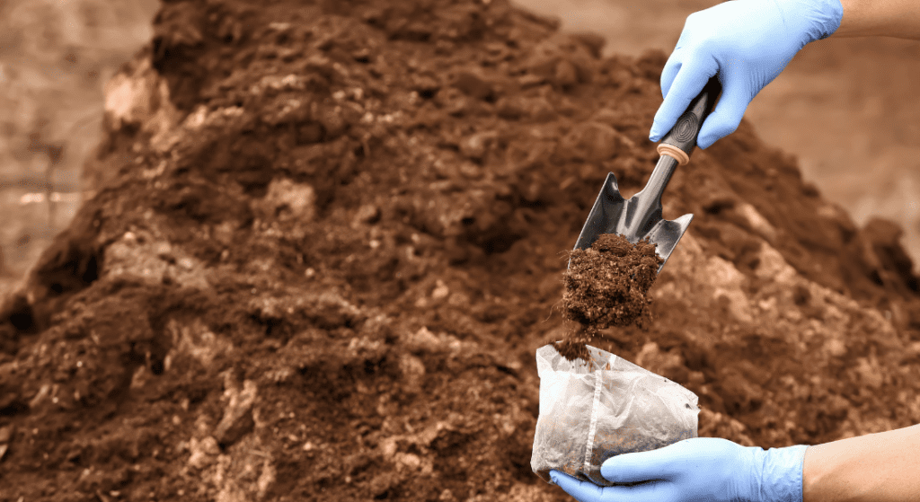 A person wearing blue gloves is digging in the dirt with a shovel.