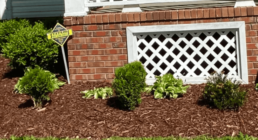 Showing a backyard while planting trees