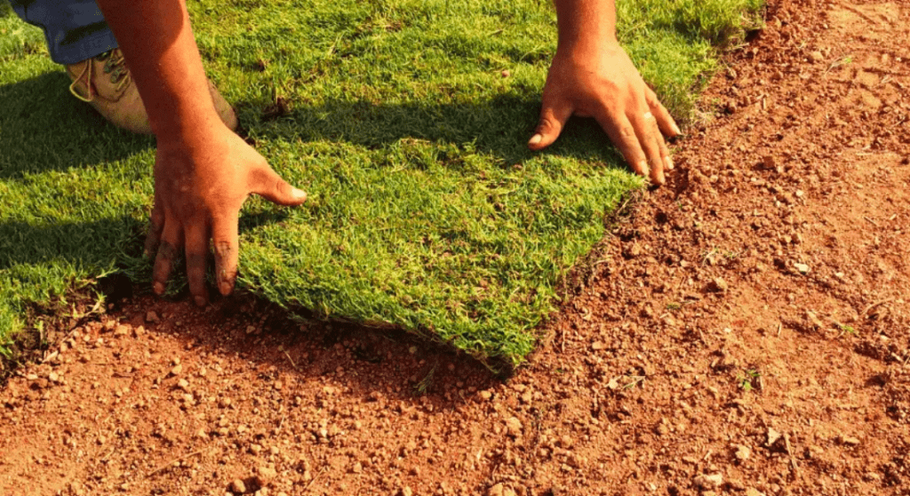 Artificial Grass installation