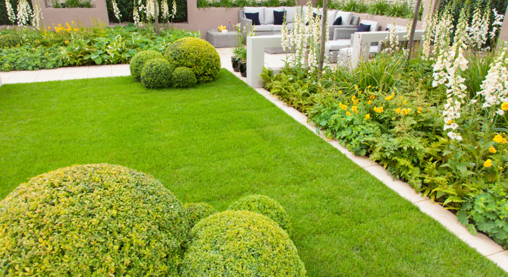 A lush green garden with round shape trees