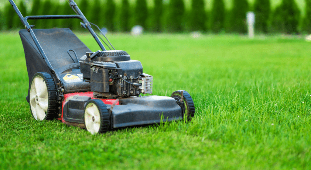 A lawn mower is cutting a lush green lawn.