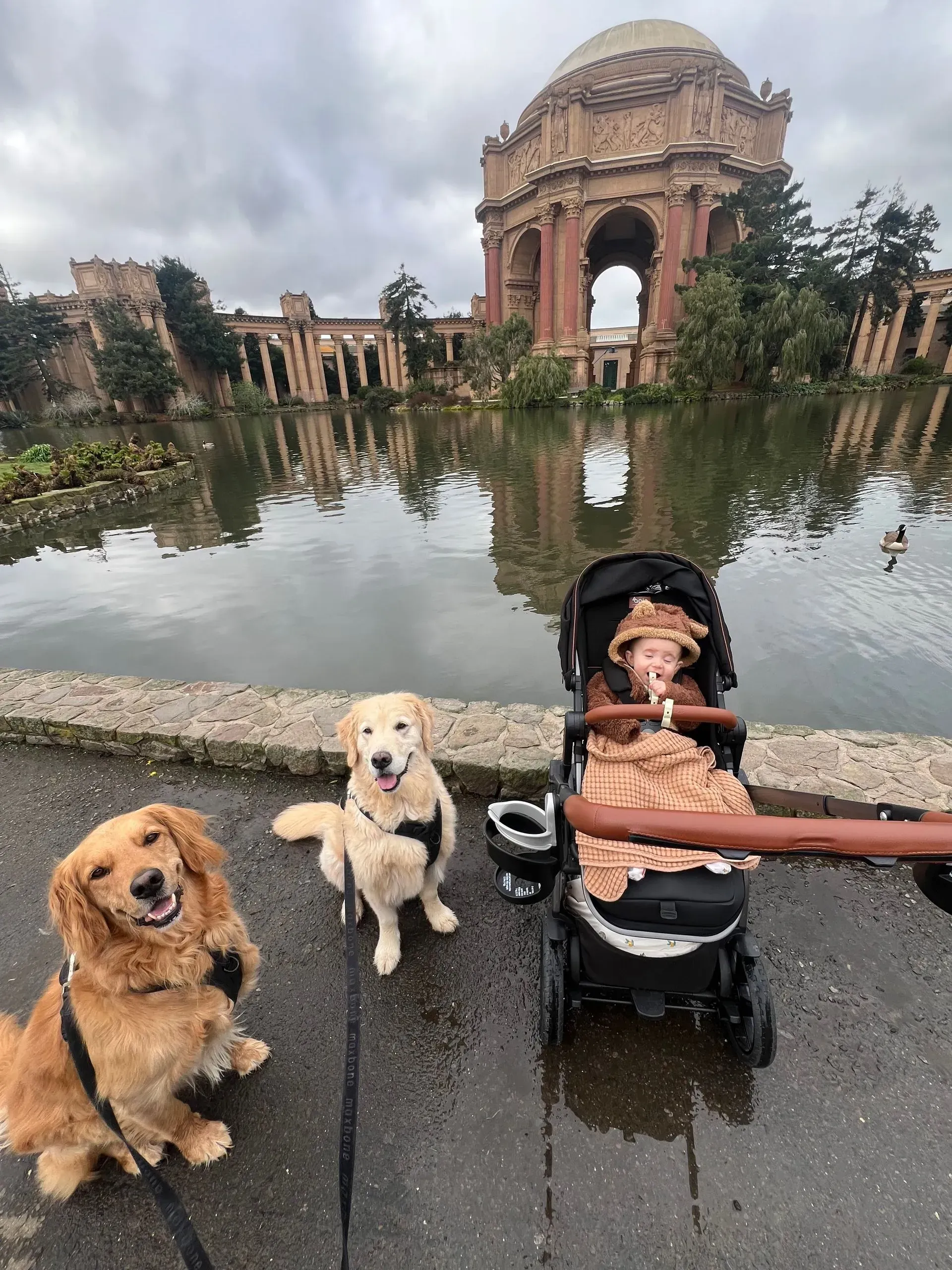Three dogs and a stroller by a reflecting pond before a historic stone monument